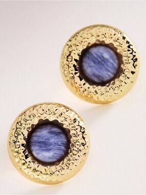 By Anthropologie NWT Tiger’s Eye Button Post Earrings- Blue